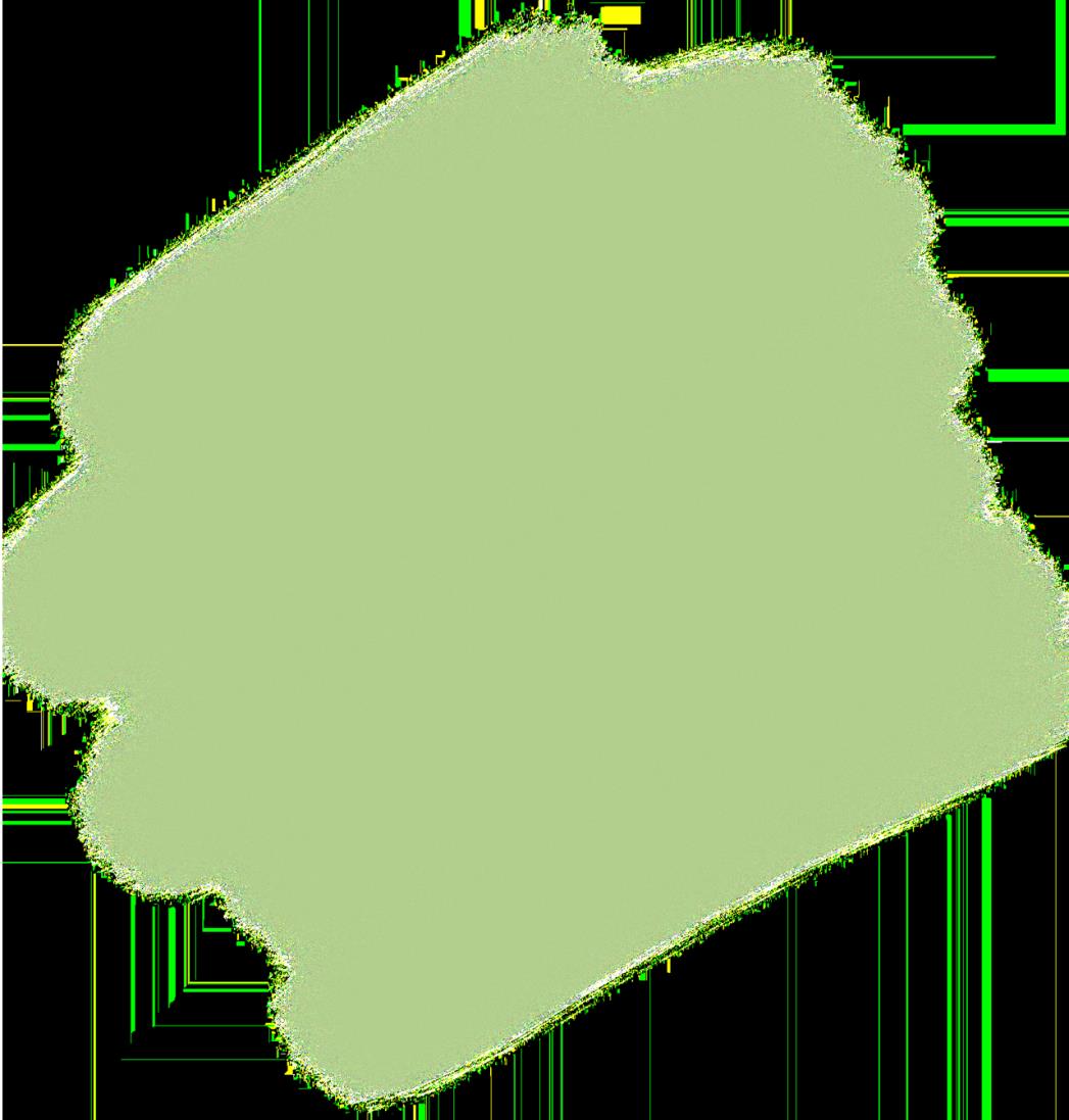 DƬ